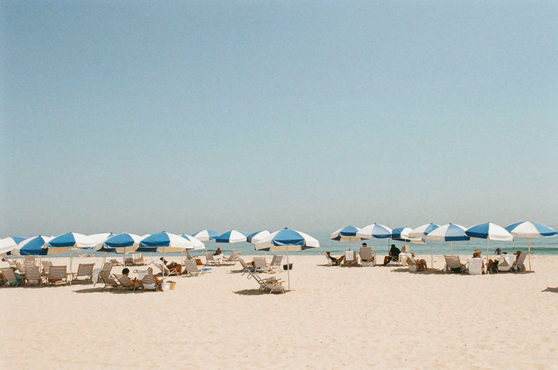 Five Farmstands to Visit in the Hamptons This Spring
