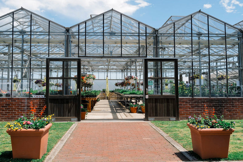 Five Farmstands to Visit in the Hamptons This Spring