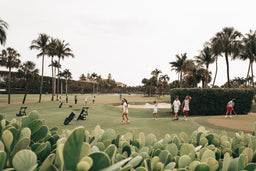 Drive, Chip, and Putt