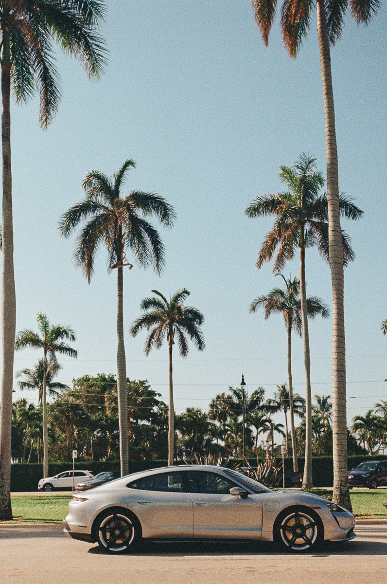 Royal Poinciana Way