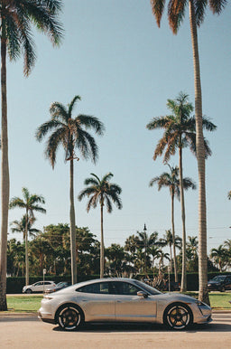Royal Poinciana Way