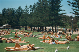 Lawn at Coogee Beach