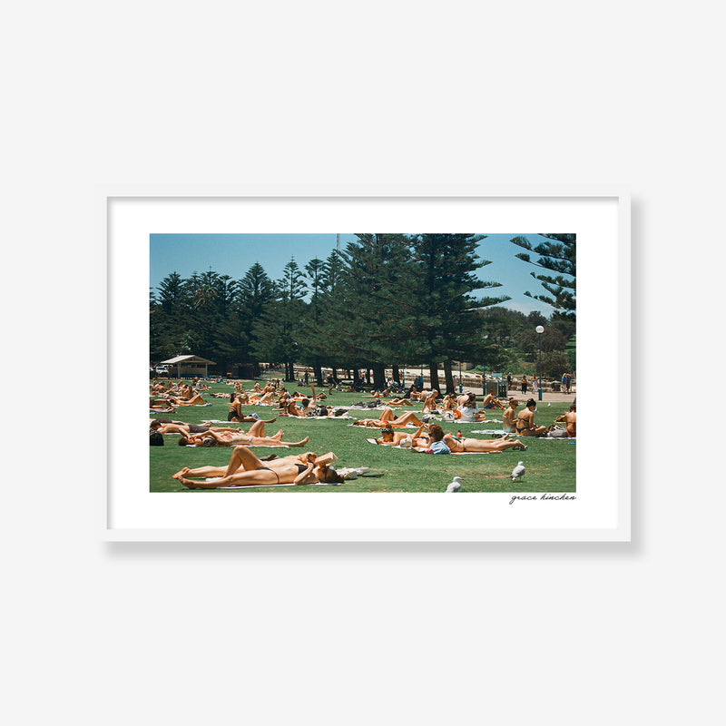 Lawn at Coogee Beach