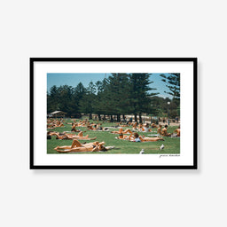 Lawn at Coogee Beach