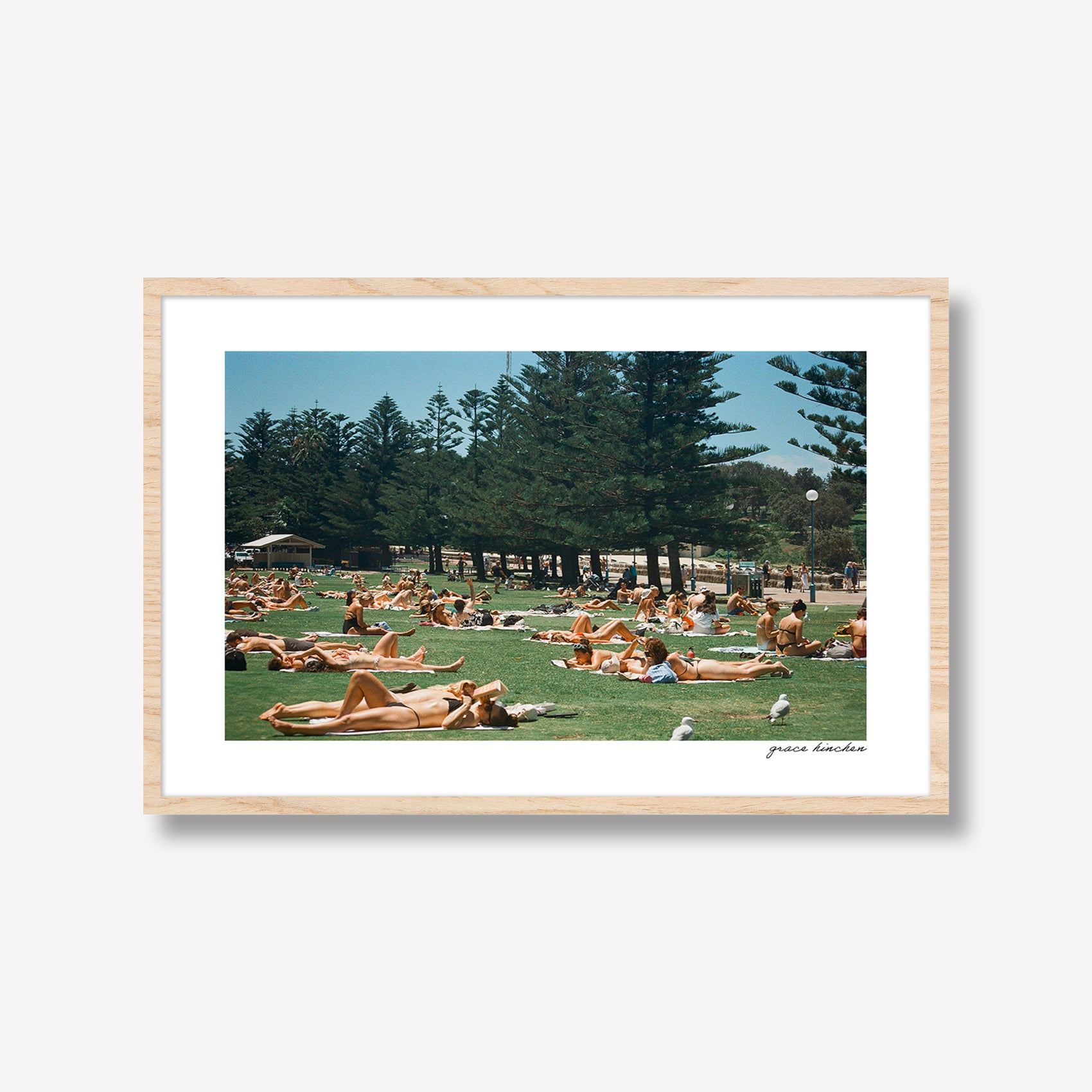 Lawn at Coogee Beach