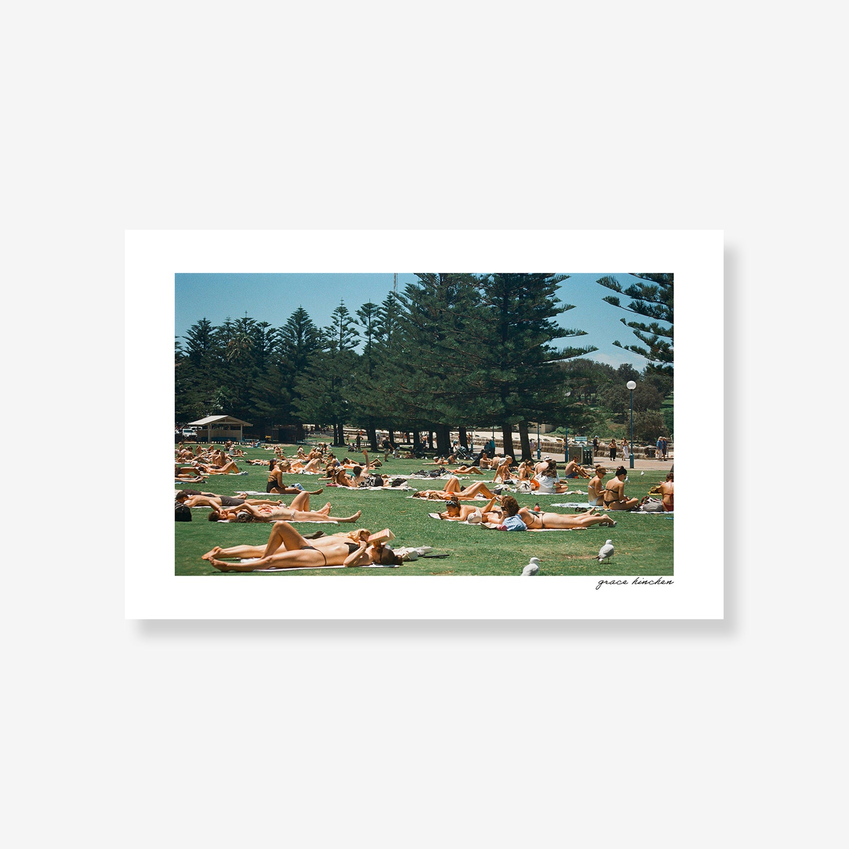 Lawn at Coogee Beach