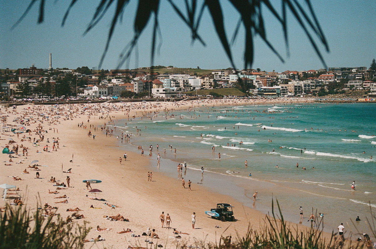 Lifeguards on Patrol, Bondi Beach