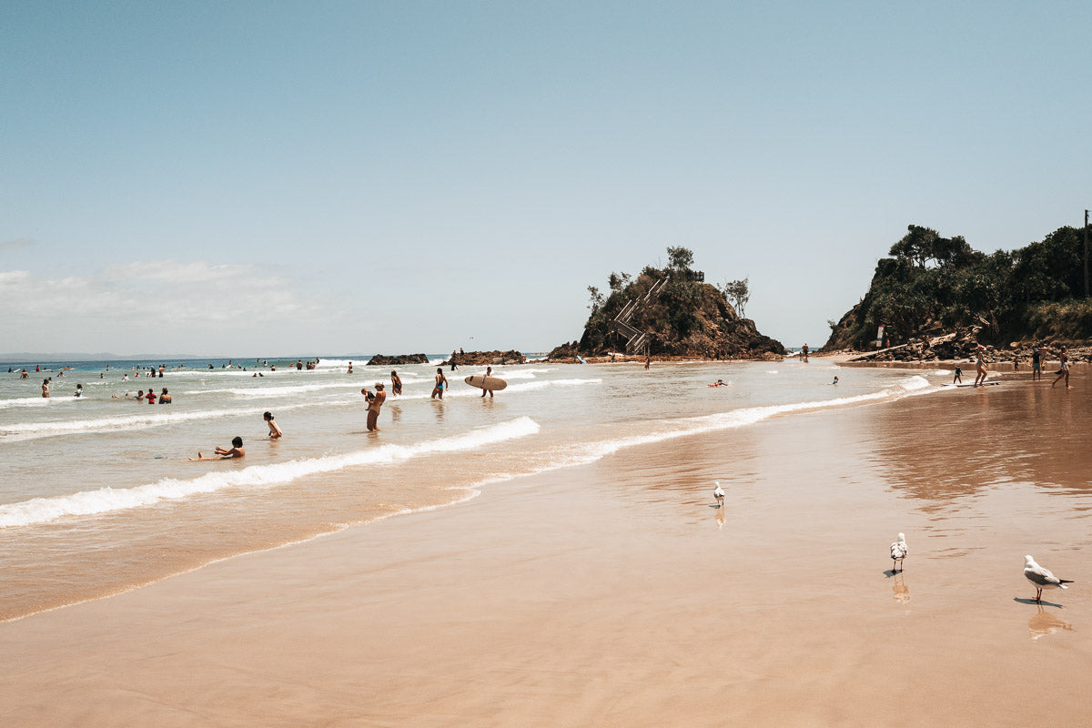 Seagulls and Summer Swells
