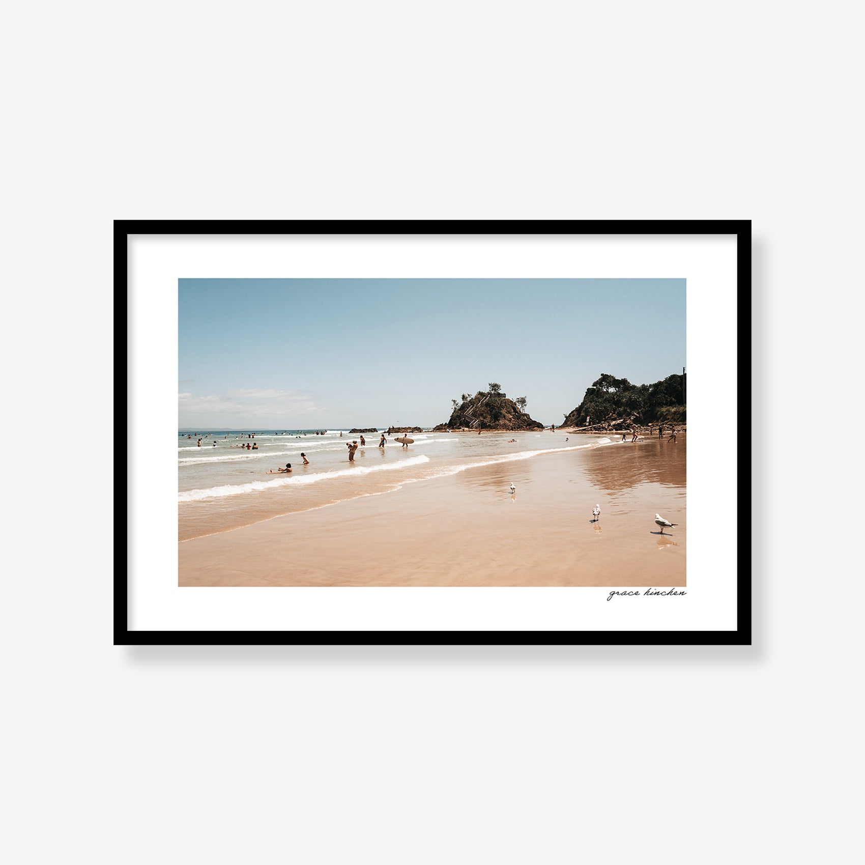 Seagulls and Summer Swells