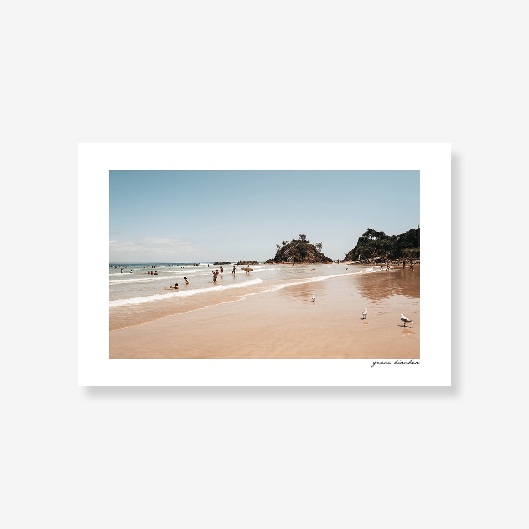 Seagulls and Summer Swells