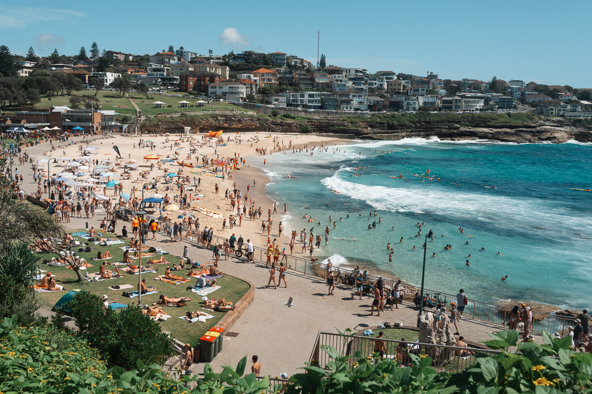 Bronte From The Path