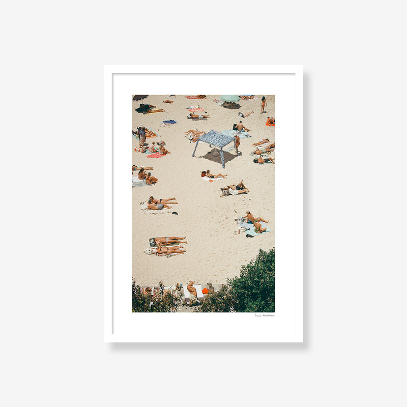 Summer on Tama