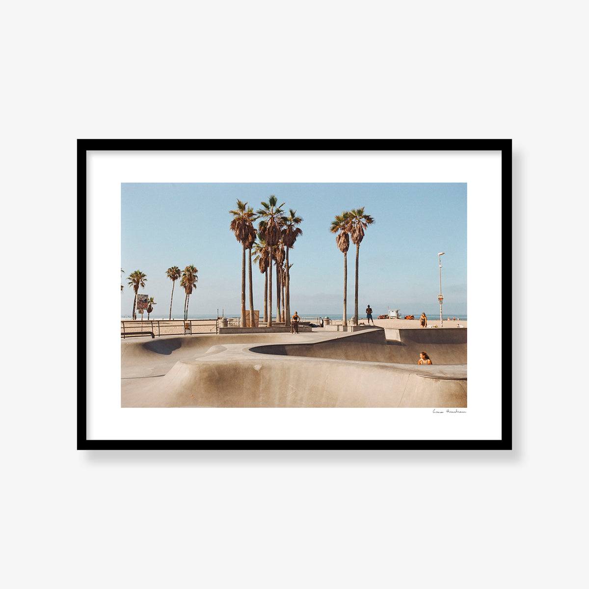 Venice Skate Park