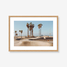 Venice Skate Park
