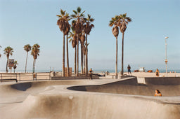 Venice Skate Park