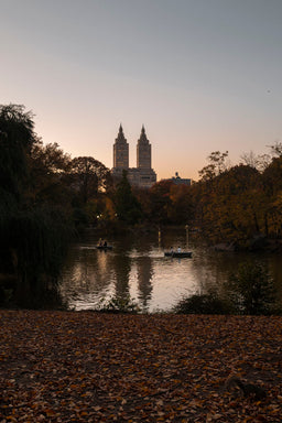 Autumn in Central Park