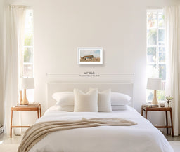 Fresh Fish & Lobster