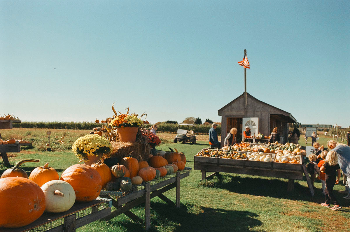Festive Farmstands