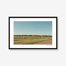 Gibson Lane in Autumn