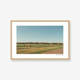 Gibson Lane in Autumn