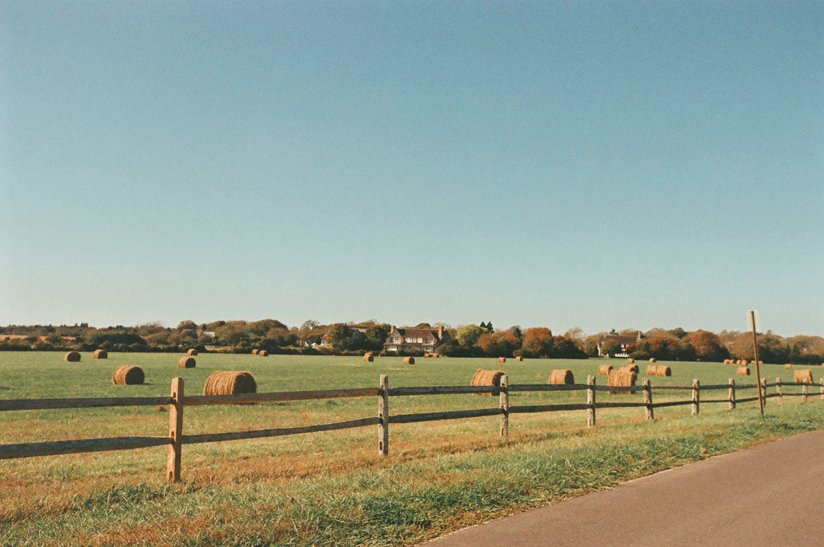 Gibson Lane in Autumn