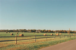 Gibson Lane in Autumn