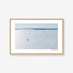 Iceboating on Mecox Bay
