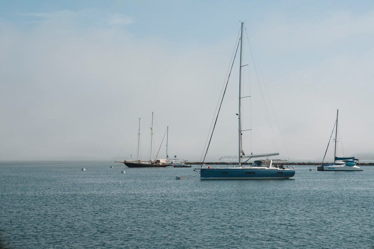 A Quiet Harbor