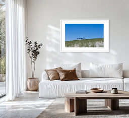 Bridgehampton Umbrellas