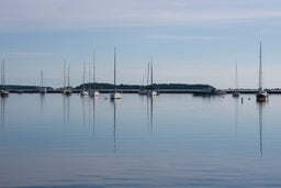Morning Reflections