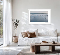Morning Tide