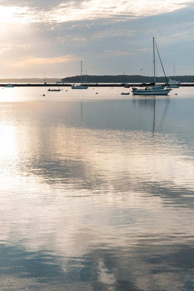 Morning Stillness