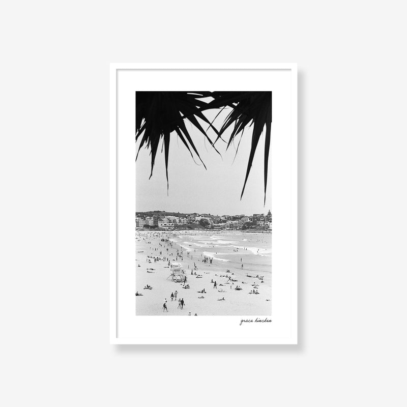 Bondi Framed By Palms